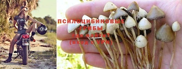 PSILOCYBIN Верея